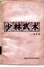 少林武术 梅花枪