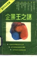 企业王之谜