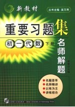 名师解题 初一代数 下