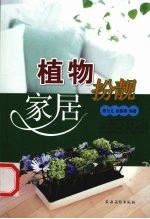 植物扮靓家居