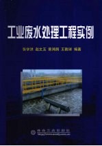 工业废水处理工程实例