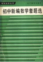 初中新编数学套题选