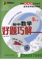 好题巧解 初中数学 九年级