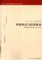 外部冲击与经济波动