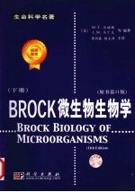 BROCK微生物生物学 下 原书第11版