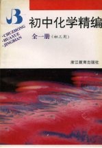 初中化学精编:全1册