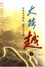 大跨越：贵州电力崛起·报告文学集 下