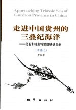 走进中国贵州的三叠纪海洋:化石和喀斯特地貌精选图册