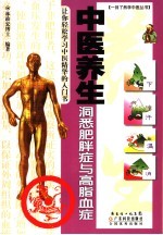 中医养生 洞悉肥胖与高血脂