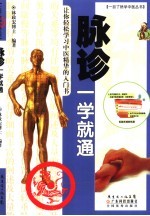 脉诊一学就通