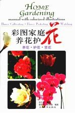 彩图家庭养花护花 养花·护花·赏花
