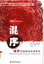 混序:维萨与组织的未来形态