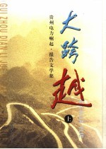 大跨越:贵州电力崛起·报告文学集 上