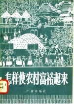 怎样使农村富裕起来 广播对话