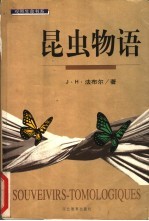 昆虫物语