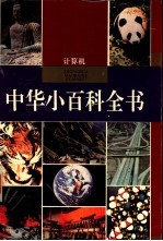 中华小百科全书 计算机