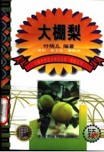 大棚梨