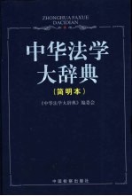 中华法学大辞典 简明本