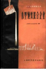 小型钢铁联合企业