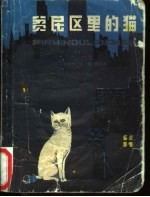 贫民区里的猫