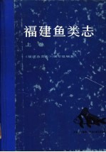 福建鱼类志 上