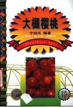 大棚樱桃