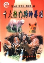 十大热门特种养殖