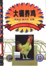 大棚养鸡