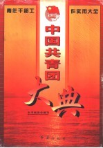中国共青团大典 青年干部实用工作大全