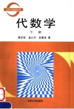 代数学 (下册)