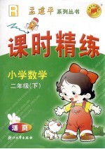 课时精练 小学数学 二年级 下 人教版