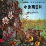 跟随小动物的足迹 小兔西普利