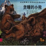 跟随小动物的足迹 贪睡的小熊