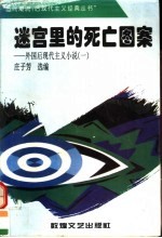 迷宫里的死亡图案 外国后现代主义小说 1