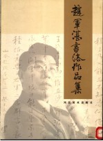 赵军湛书法作品集