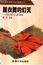 脱衣舞的幻灭 外国后现代主义散文随笔