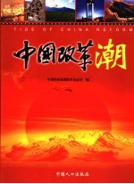 中国改革潮