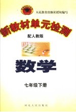 新教材单元检测 数学 七年级 下 配人教版