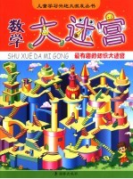 数学大迷宫