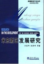 米东新区发展研究
