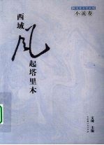 西域风起塔里木 小说卷