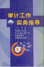 审计工作实务指导 下
