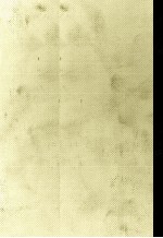 井伏鱒二集·永井龍男集