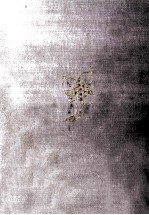 堀辰雄全集 別卷 2