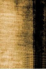 桑原武夫集 5