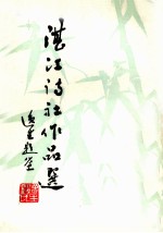 湛江诗社作品选 第1集