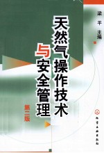 天然气操作技术与安全管理 第2版