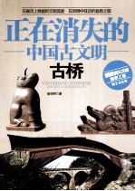 正在消失的中国古文明 古桥