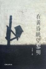 在黄昏眺望黎明