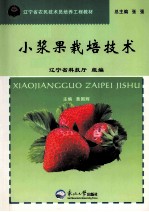 小浆果栽培技术